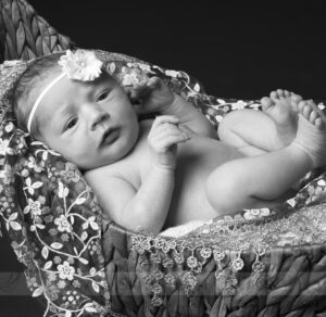 logo-isabella-