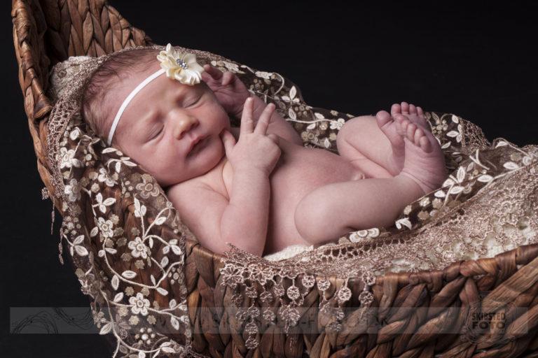 newbornfotografering