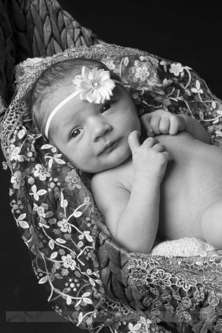 newbornfotografering