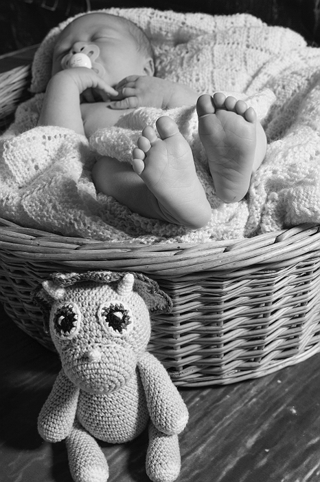 newbornfotografering