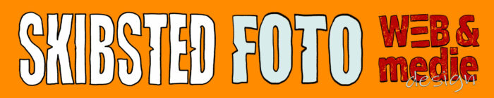 Skibsted Foto Logo